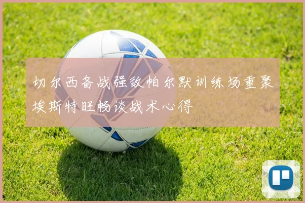切尔西备战强敌帕尔默训练场重聚埃斯特旺畅谈战术心得