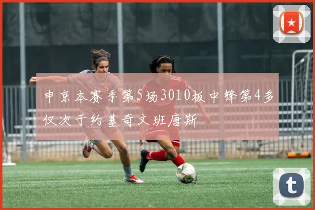 申京本赛季第5场3010板中锋第4多仅次于约基奇文班唐斯
