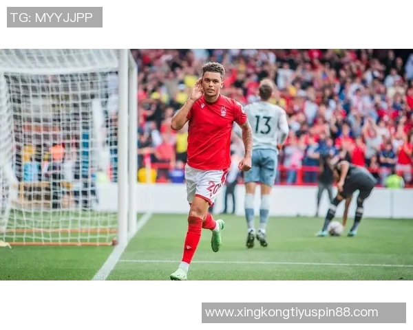 热刺前锋布伦南约翰逊以3350万镑转会水晶宫正式加盟